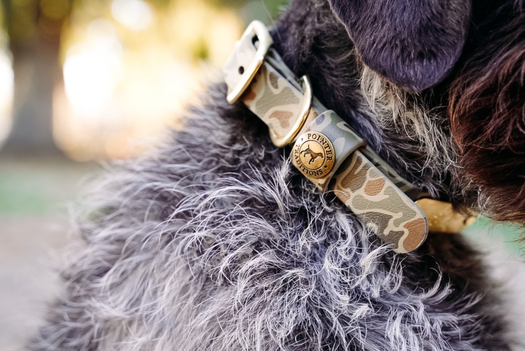 GEAR REVIEW: Pointer&nbsp;Traditions