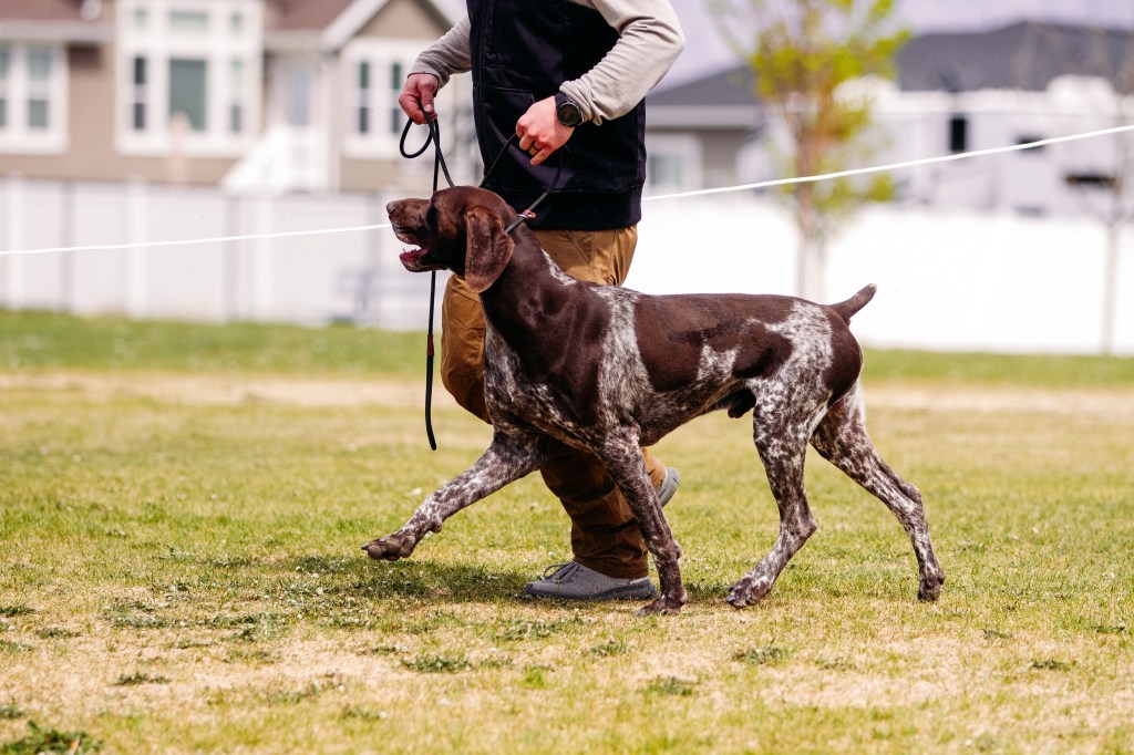 Function Follows Form